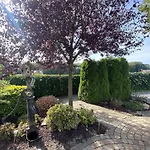 Vakantiehuis Das Chalet Hulshorst